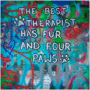 John Lennon Wall, © Arno Lucas