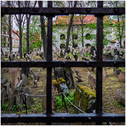 Starý židovský hřbitov (Oude Joodse Begraafplaats), © Arno Lucas