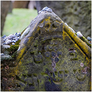 Starý židovský hřbitov (Oude Joodse Begraafplaats), © Arno Lucas