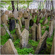 Starý židovský hřbitov (Oude Joodse Begraafplaats), © Arno Lucas