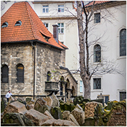 Starý židovský hřbitov (Oude Joodse Begraafplaats), © Arno Lucas