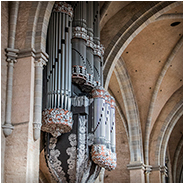 Dom Trier, © Arno Lucas