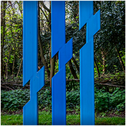 'Verschuiving naar links 1' in de buurt van het boswachtershuisje, © Arno Lucas