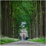 Laan naar Kasteel Nemerlaer, © Arno Lucas