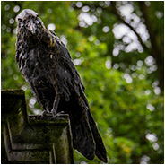 Een kunstwerkje in de buurt van kasteel Nemerlaer, © Arno Lucas