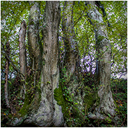 Wallendorf Deutschland, © Arno Lucas