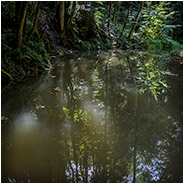 Mullerthal Trail, © Arno Lucas