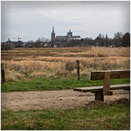 Uitzicht op de Bossche Broek, © Arno Lucas