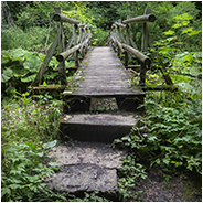 Mooie natuur gevonden bij de Wutachschlucht in het Zwarte Woud, © Arno Lucas