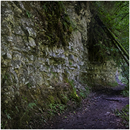 Mooie natuur gevonden bij de Wutachschlucht in het Zwarte Woud, © Arno Lucas