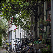 Een mooi stukje in één van de straten, © Arno Lucas