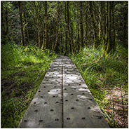 Op verschillende stukken van de Wicklow Way liepen we over dit soort paden, © Arno Lucas