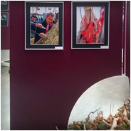 Foto's voor lustrumexpositie Fotoclub Drunen, © Arno Lucas
