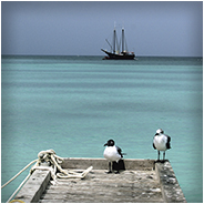 Steiger in het water op Aruba, © Arno Lucas