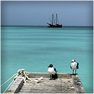 Steiger in het water op Aruba, © Arno Lucas