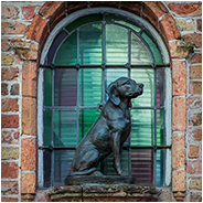 Brugge - Hond in nisje, © Arno Lucas
