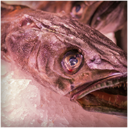 Deze vis lag in een kraam in een markthal. De vis lag er helaas niet mooi genoeg voor de foto er bij, © Arno Lucas