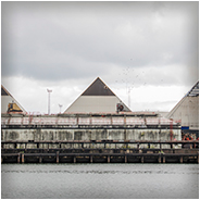 Rotterdamse haven, © Arno Lucas