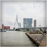 De Erasmusbrug gezien vanuit Kop van Zuid, © Arno Lucas