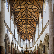 Interieur van de St. Bavokerk in Haarlem, © Arno Lucas