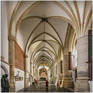 Interieur van de St. Bavokerk in Haarlem, © Arno Lucas