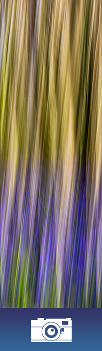 Vrij werk (fotografie), © Arno Lucas