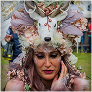 Fotofair bij de Beekse Bergen, © Arno Lucas