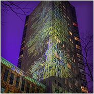 ASML - Evolution of Life | GLOW Eindhoven 2023, © Arno Lucas