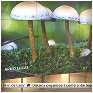 Mijn paddenstoelenfoto was te zien bij Goedemorgen Nederland (WNL)