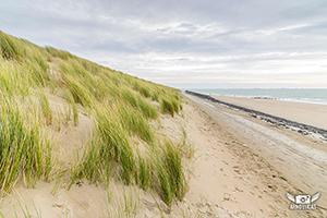 Nederlandse kust