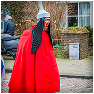 Dè's ècht Bosch (Dwergonië), © Arno Lucas