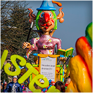 Knotwilgendam, © Arno Lucas